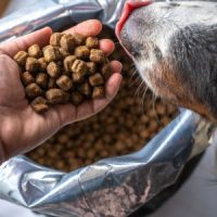 PetFood PetFood